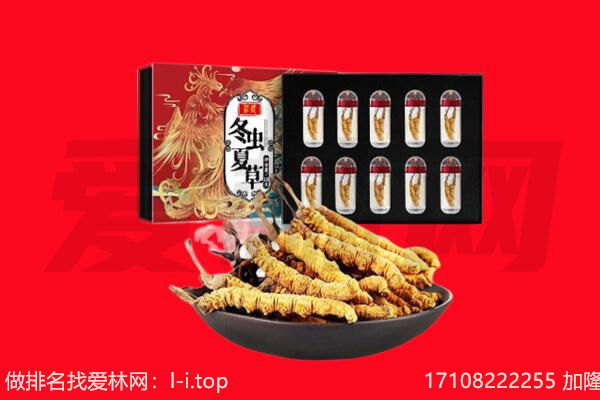 成都市成华回收虫草.jpg